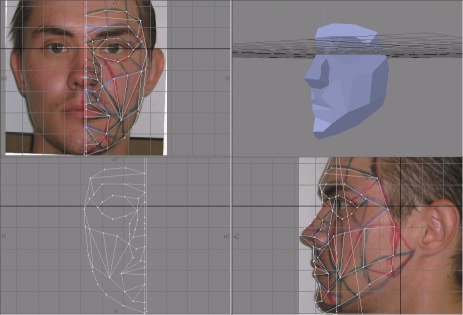 Face Mesh